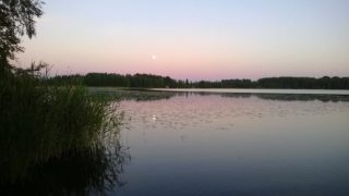 kärppälä_järvi